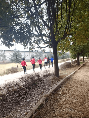 LORIS WORD.png2.jpg3 (2)3